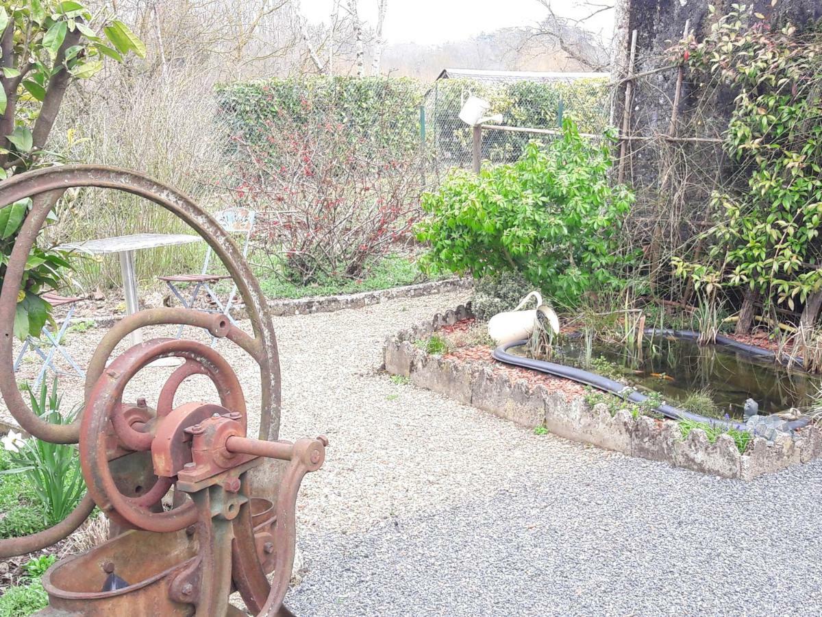 Chambres D'Hotes Le Clos De La Touche Cheillé Kültér fotó